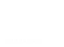 El Camino de los Prodigios