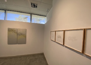 Exposición Transvisible