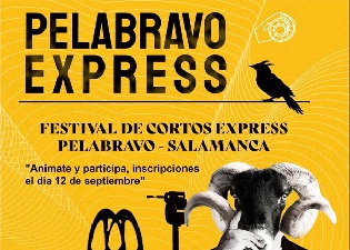 Festival de cortos express