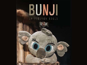 Bunji la pequeña koala