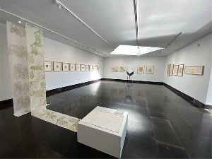 Exposición El Juego de los Posibles