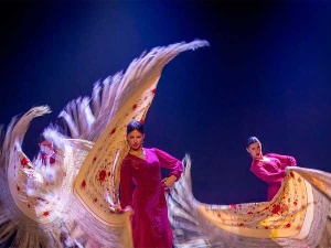 Escuela Profesional de Danza de Castilla y León