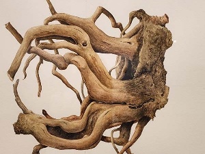 Exposición ÁRBOL. PINTURA Y DIBUJO