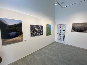Exposición ARTE Y BIODIVERSIDAD en la Isla del Soto
