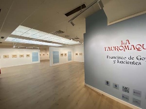 Exposición La Tauromaquia de Goya
