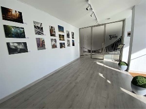 Exposición: Los puentes del arte