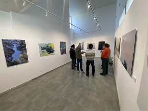 Proyecto: Arte y Biodiversidad en la Isla del Soto