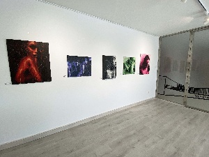 Exposición: Mujeres, voces en la Naturaleza