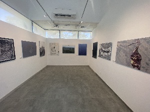 Sexta exposición del proyecto ARTE Y BIODIVERSIDAD