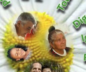 Formación a Profesionales 