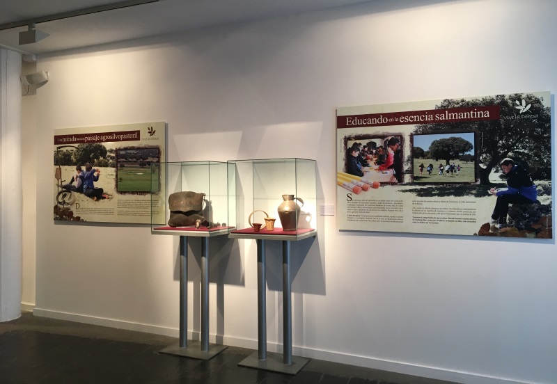 Exposición Vive la Dehesa 2018. 