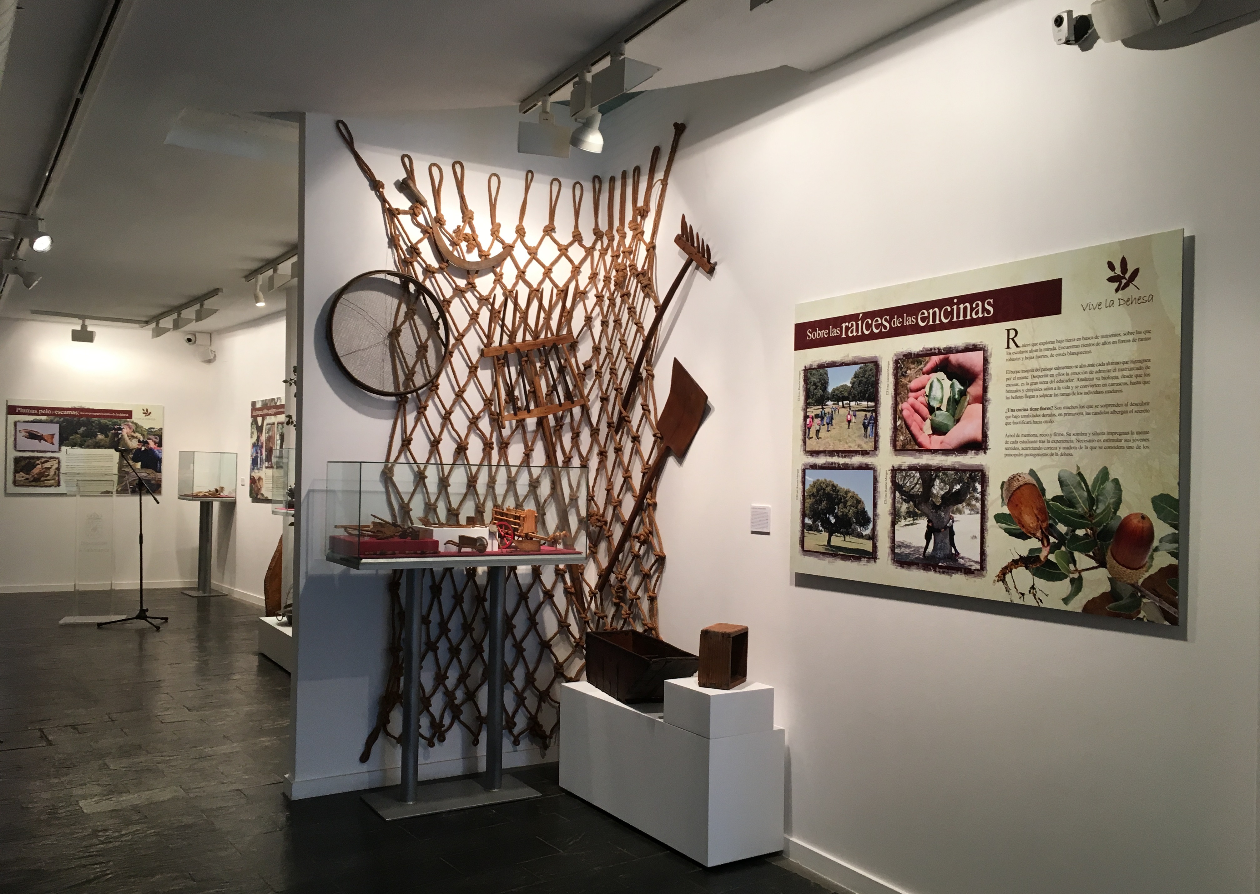 Exposición Vive la Dehesa 2018. 