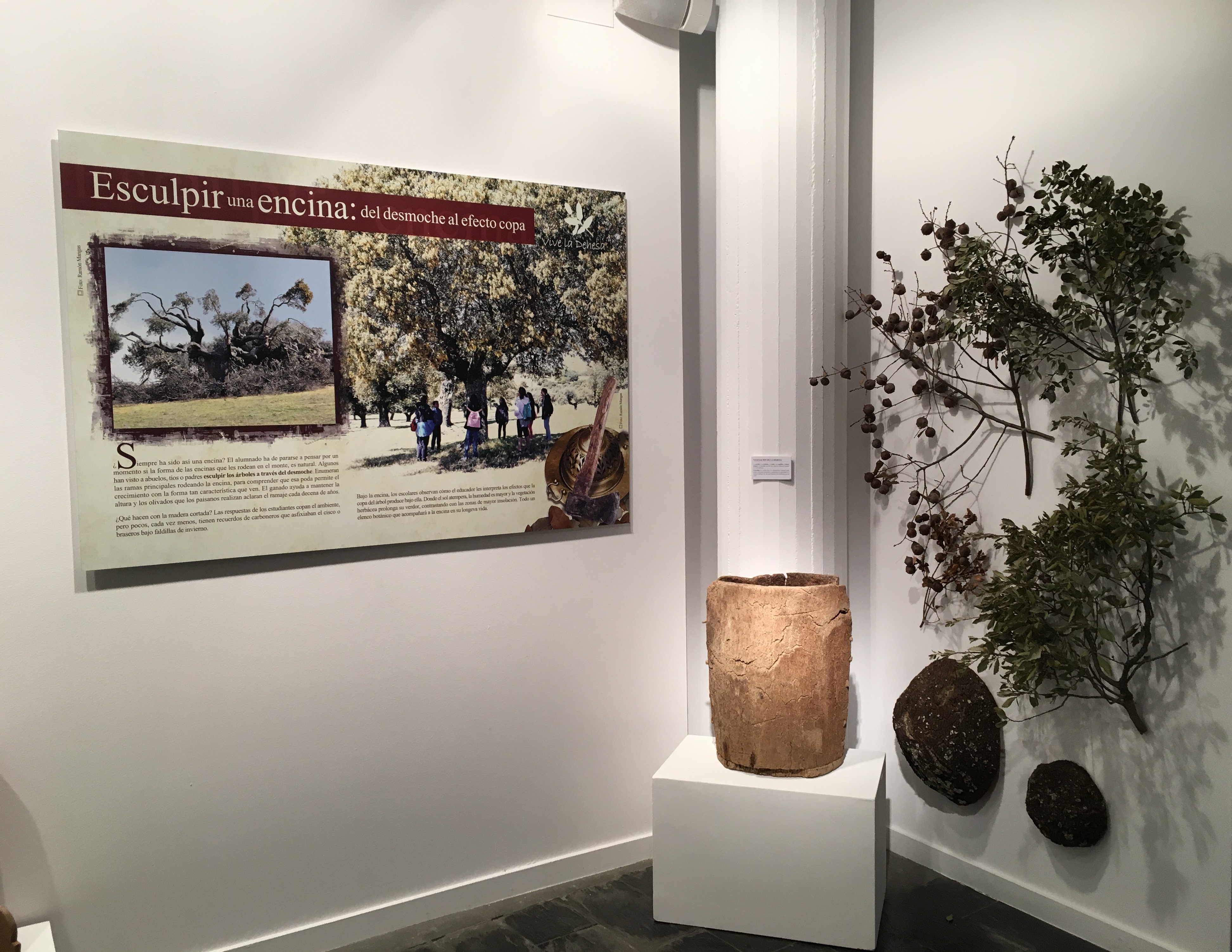 Exposición Vive la Dehesa 2018. 