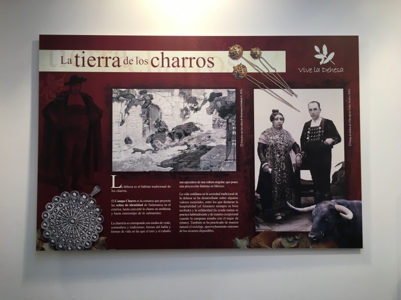 Exposición Vive la Dehesa 2018. 