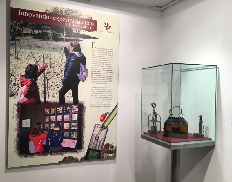 Exposición Vive la Dehesa 2018. 