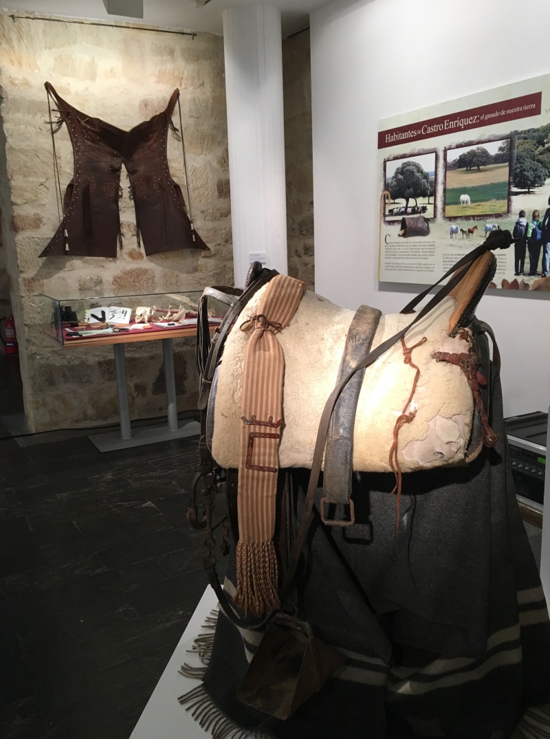 Exposición Vive la Dehesa 2018. 