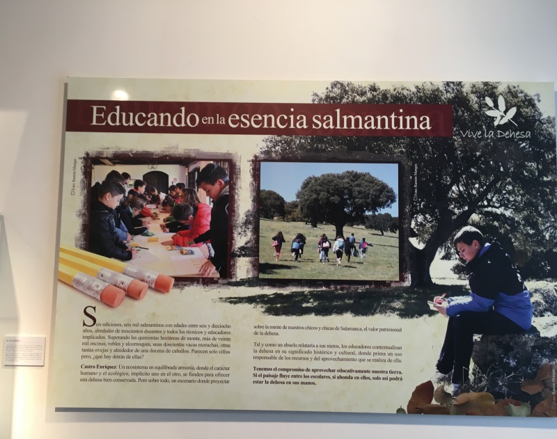 Exposición Vive la Dehesa 2018. 