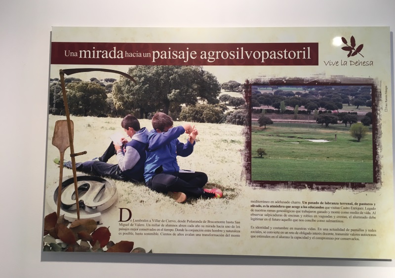 Exposición Vive la  Dehesa 2018. 