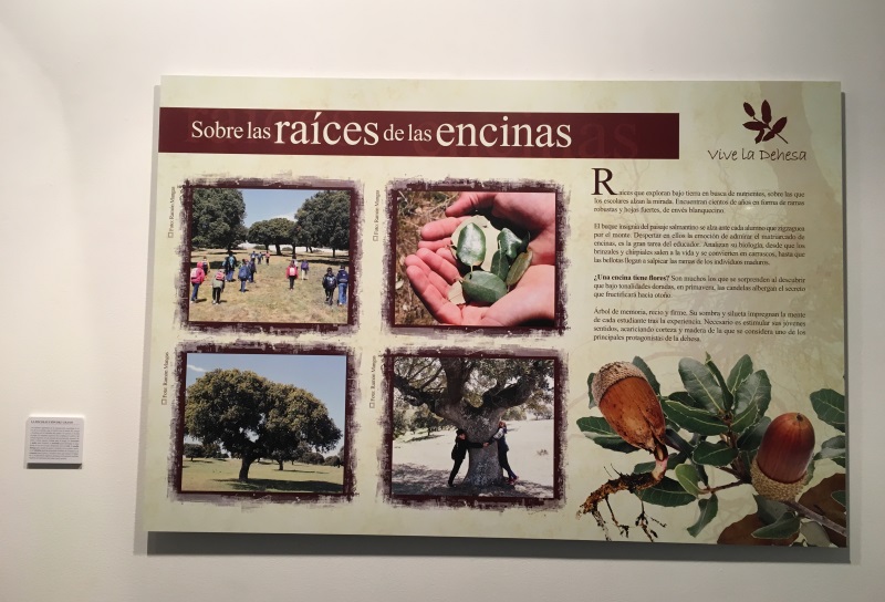 Exposición Vive la Dehesa 2018. 