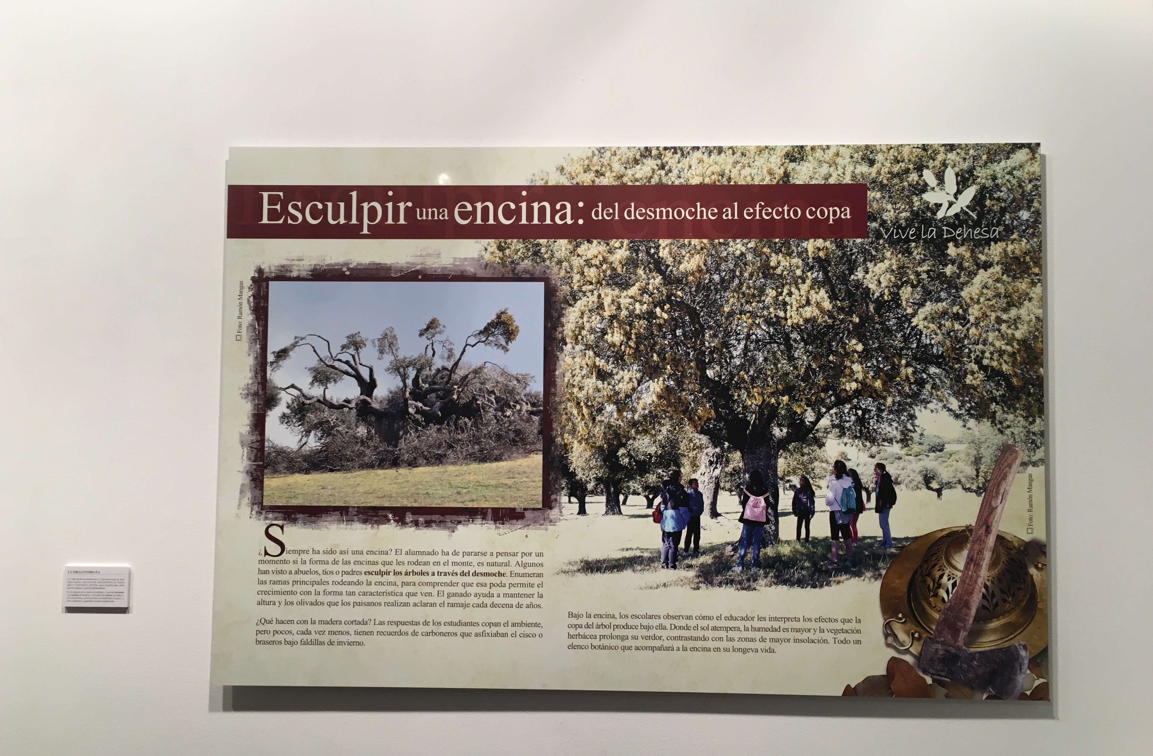 Exposición Vive la Dehesa 2018. 