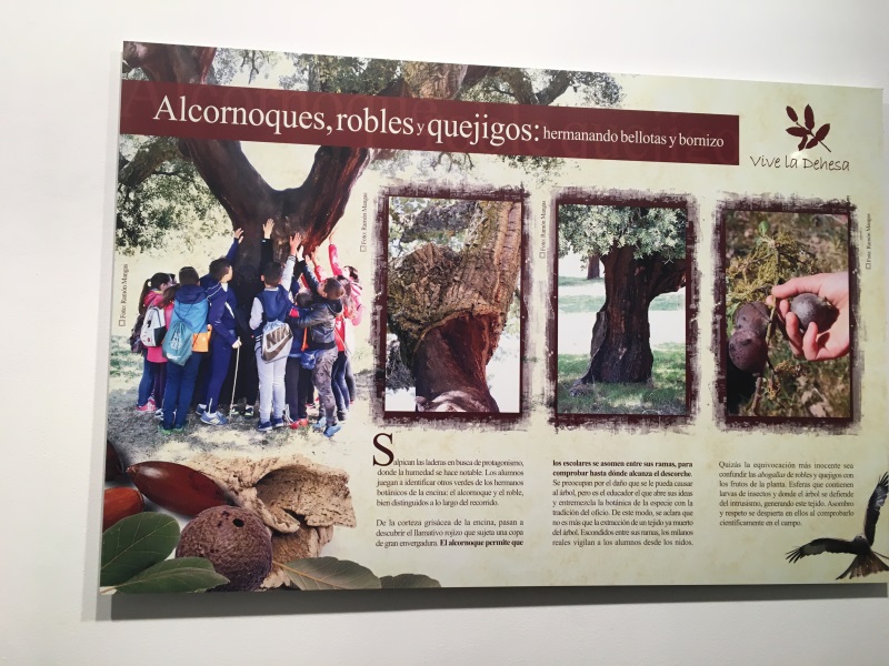 Exposición Vive la Dehesa 2018. 
