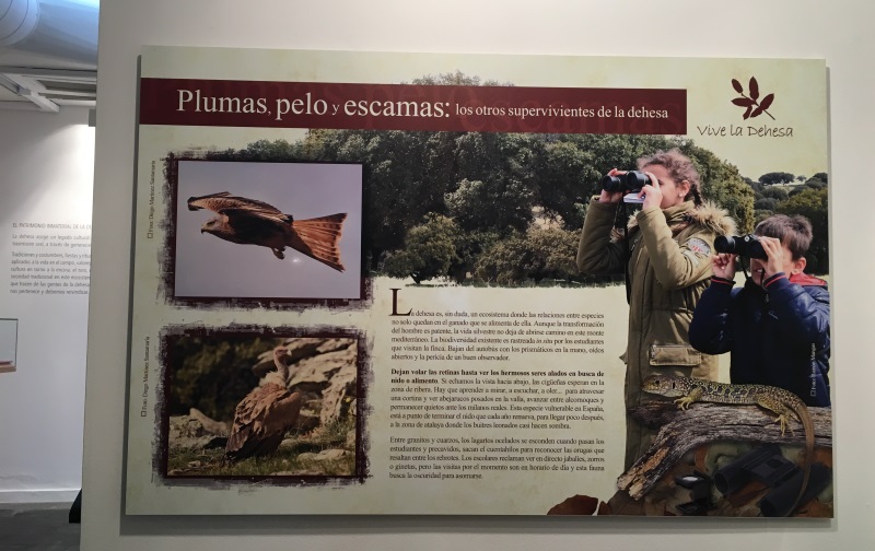 Exposición Vive la Dehesa 2018 