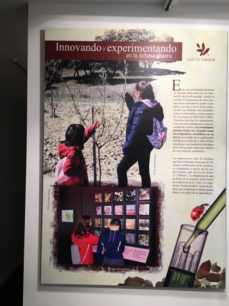 Exposición Vive la Dehesa 2018. 