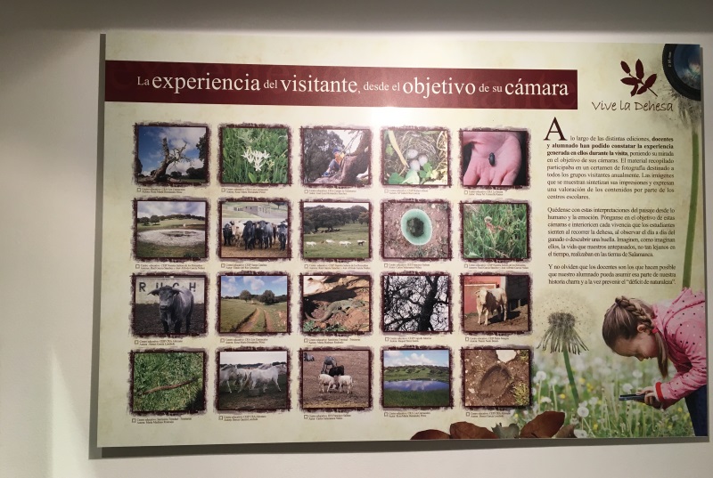 Exposición Vive la Dehesa 2018.