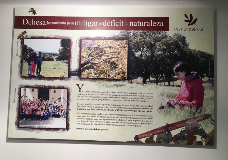 Exposición Vive la Dehesa 2018. 