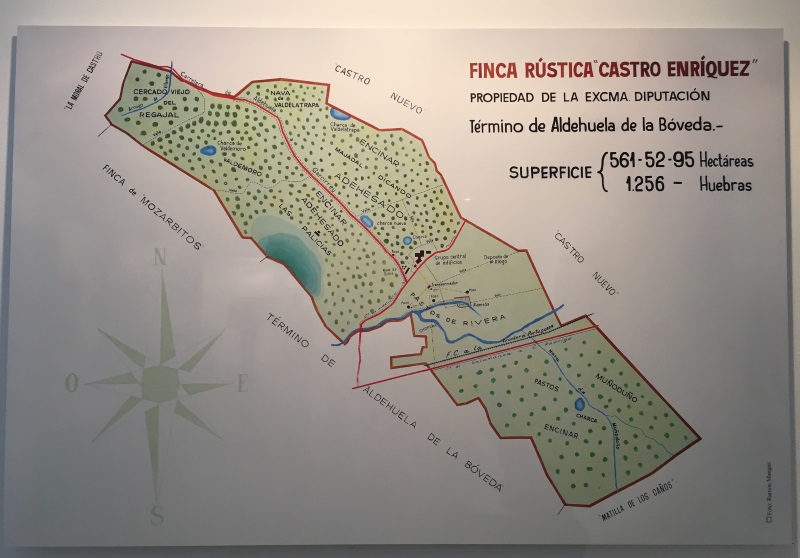 Exposición Vive la Dehesa 2018. 