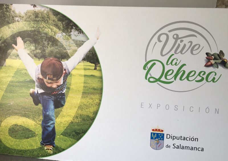 Exposición Vive la Dehesa 2018