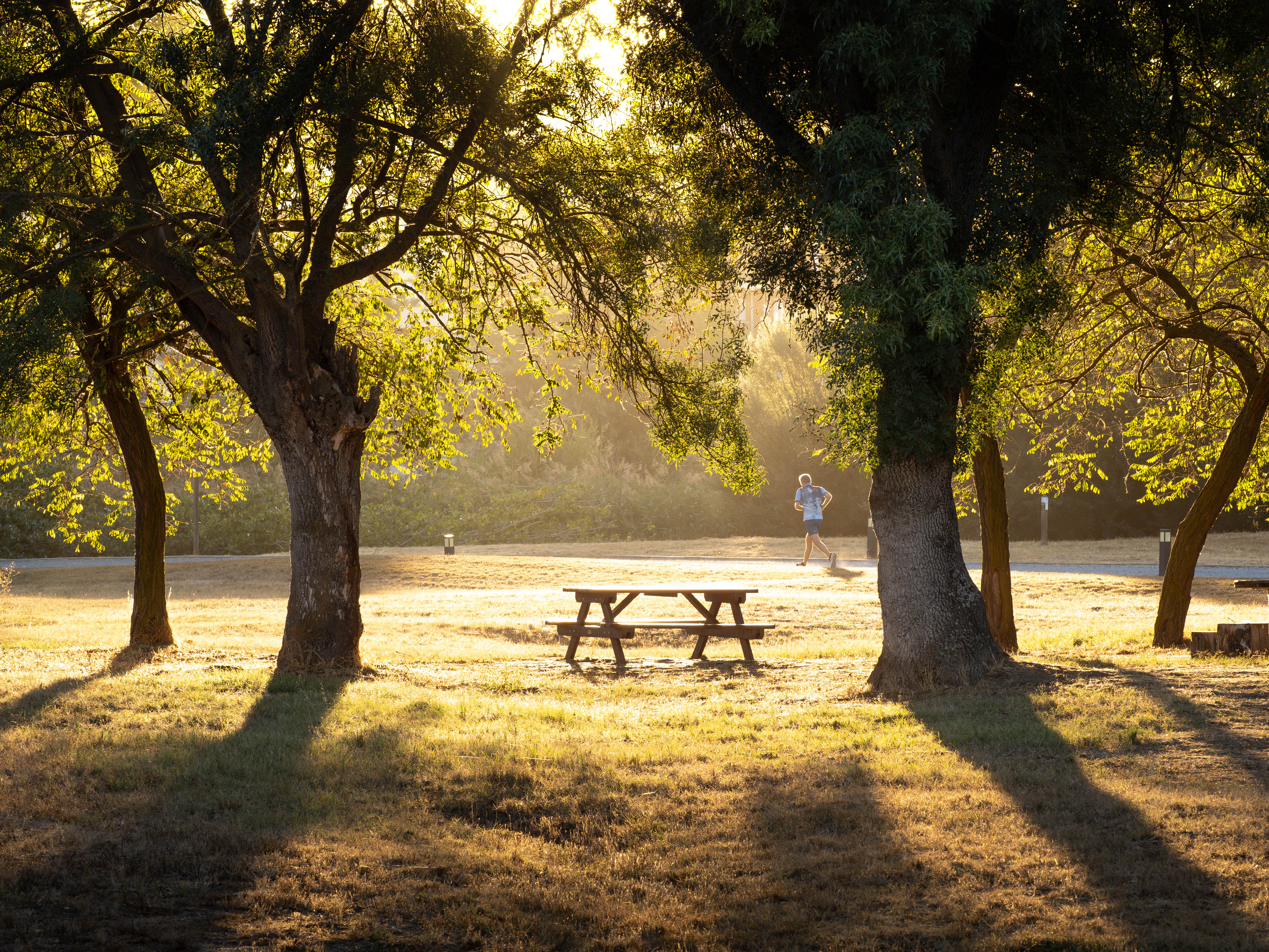 Luz y pulso. Primer Premio