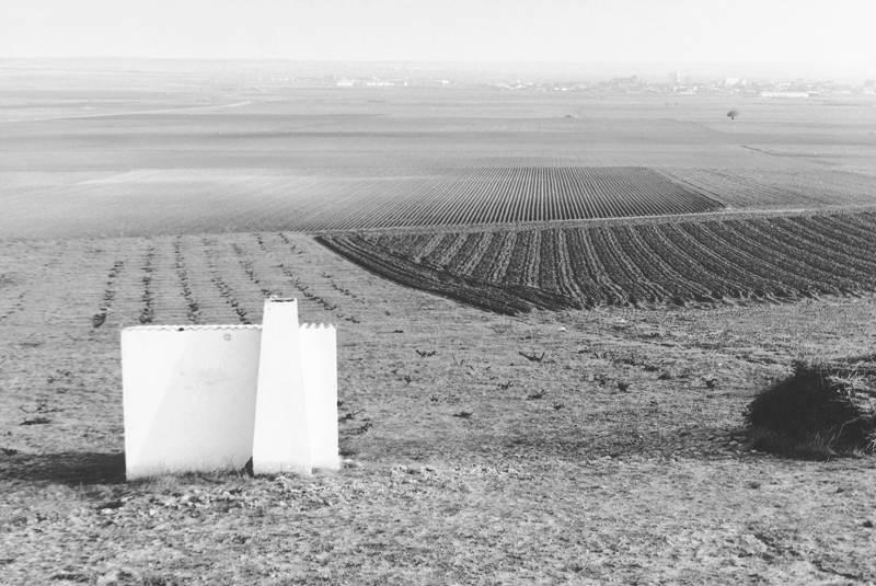 agricola05