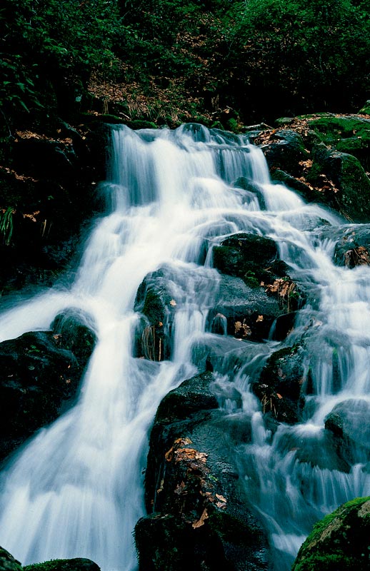 cascadas03