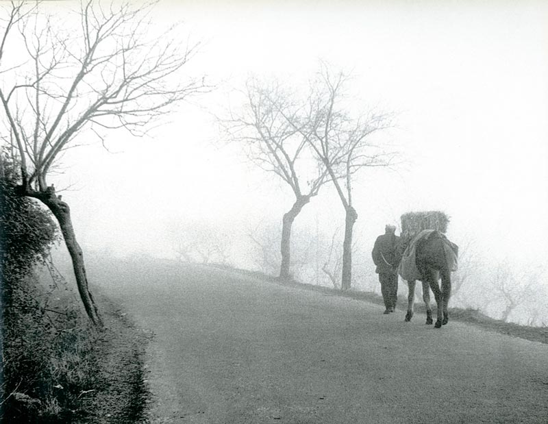niebla