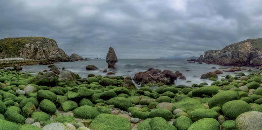 Cala de Cabaliño. Cobas (Coruña). Percebe 90x40