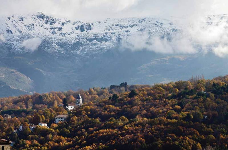 Monte del Castañar
