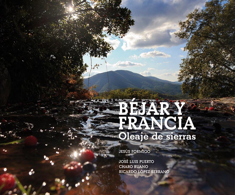 Cubierta del catálogo 'Béjar y Francia...'
