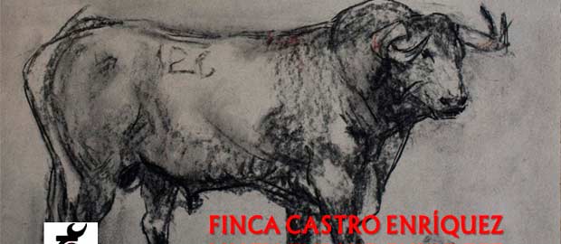 Imagen parcial del Cartel de la Carrera popular Taurina