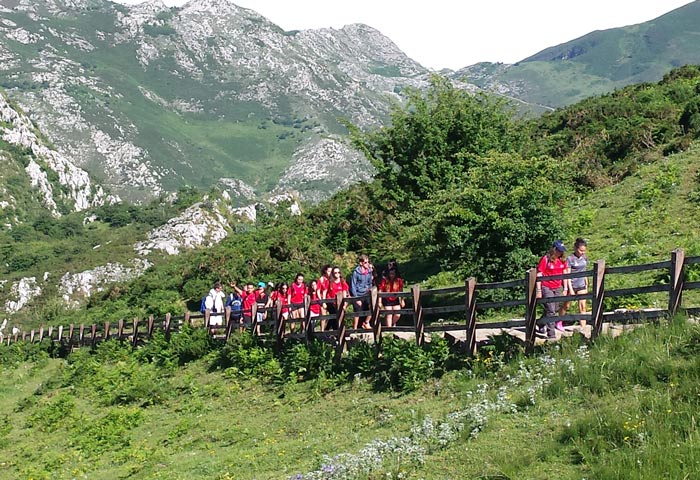 Campamentos 2016
