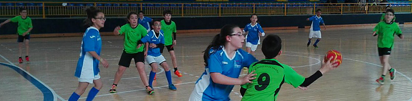 Balonmano Balonmano