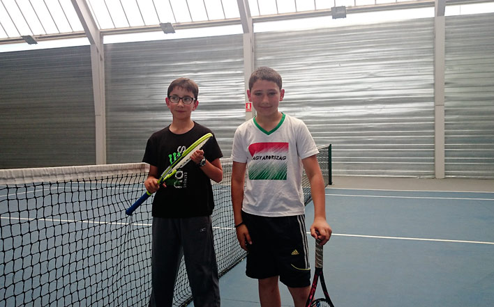 Tenis