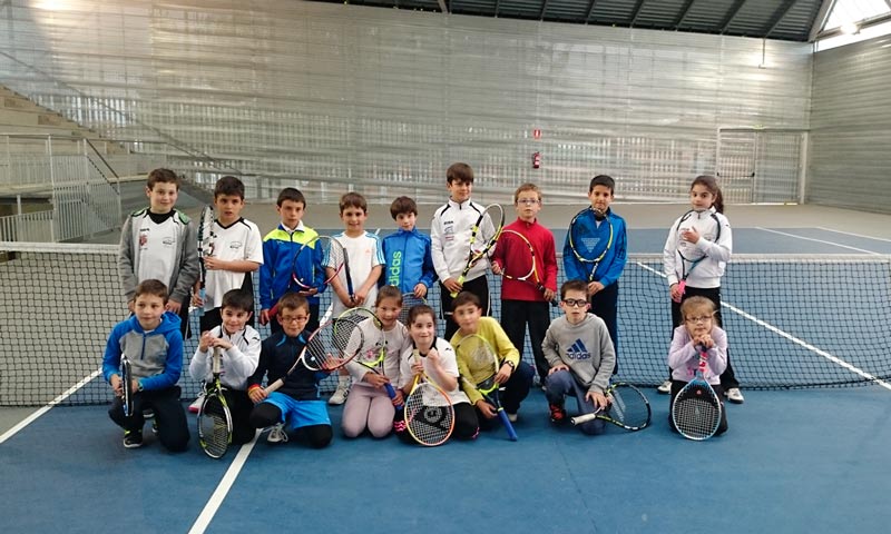 Tenis
