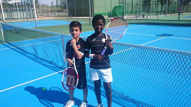 Tenis