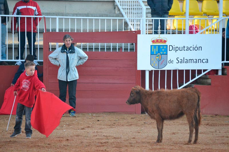 Escuela de Tauromaquia