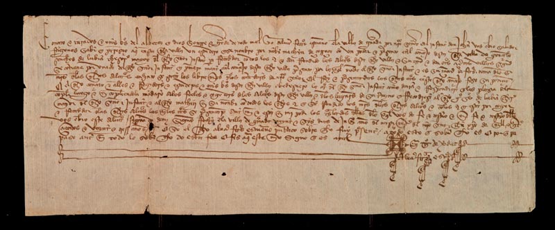 Documento