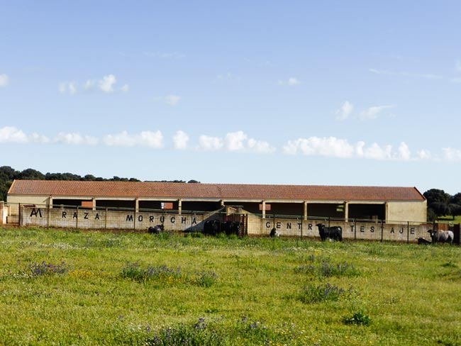 Finca de Castro Enríquez