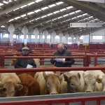Mercado regional de ganados