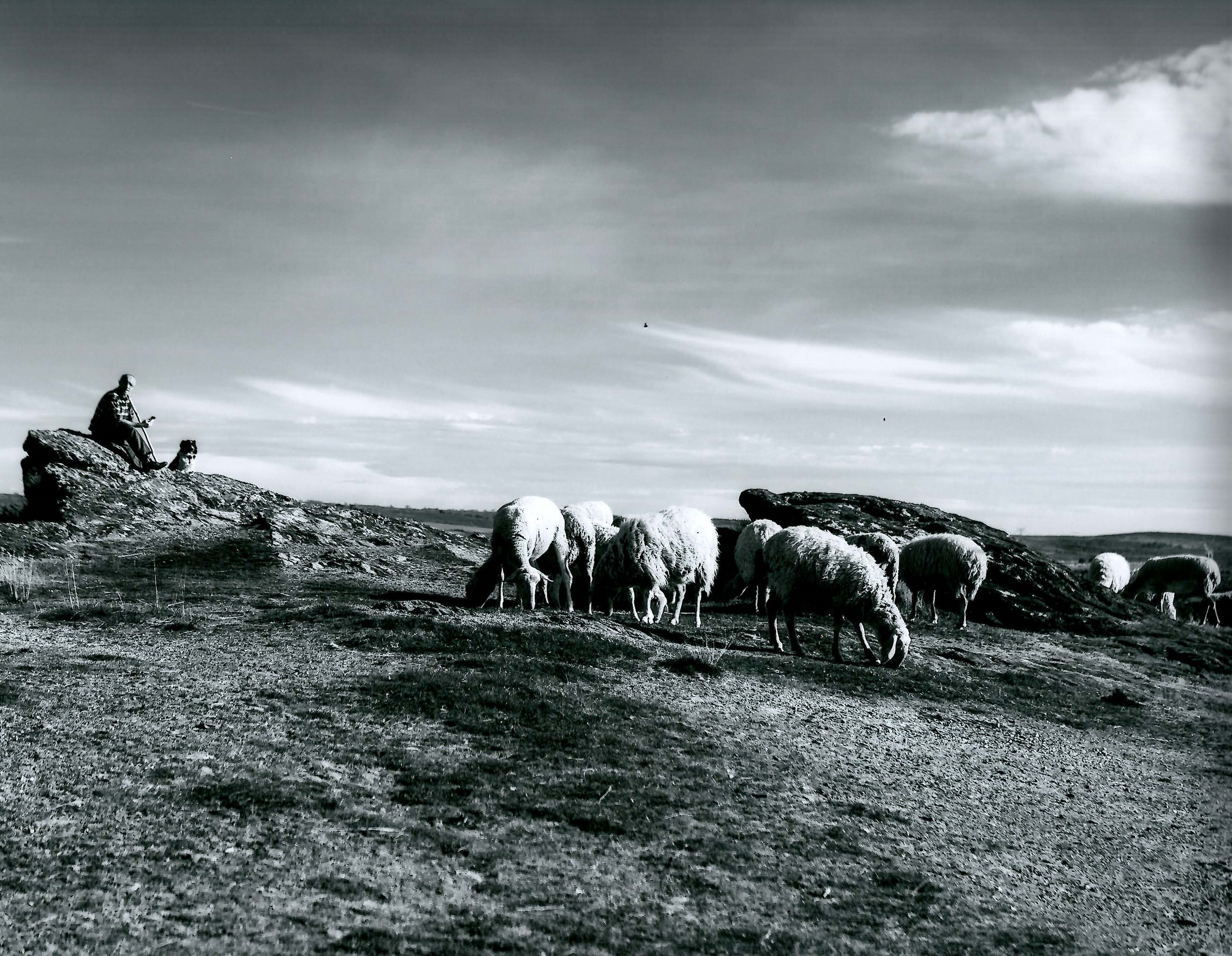 La Diputación de Salamanca convoca el 35 Premio Nacional ¿Salamanca¿ de Fotografía Agrícola y Ganadera