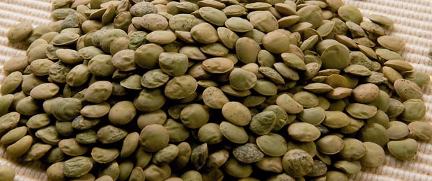 Subvenciones para la adquisición de semilla de lenteja certificada -variedad Guareña- y semilla de garbanzo certificado -variedad Garabito-Anualidad 2021